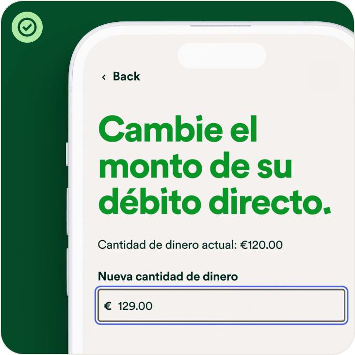 currency field usage illustration 2