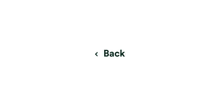 Action Illustration 3