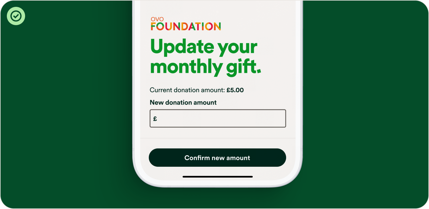 currency field usage illustration 3