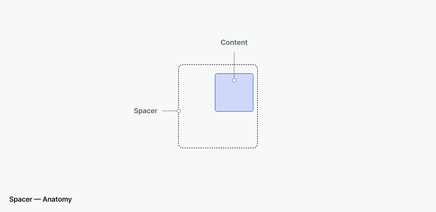 spacer-anatomy