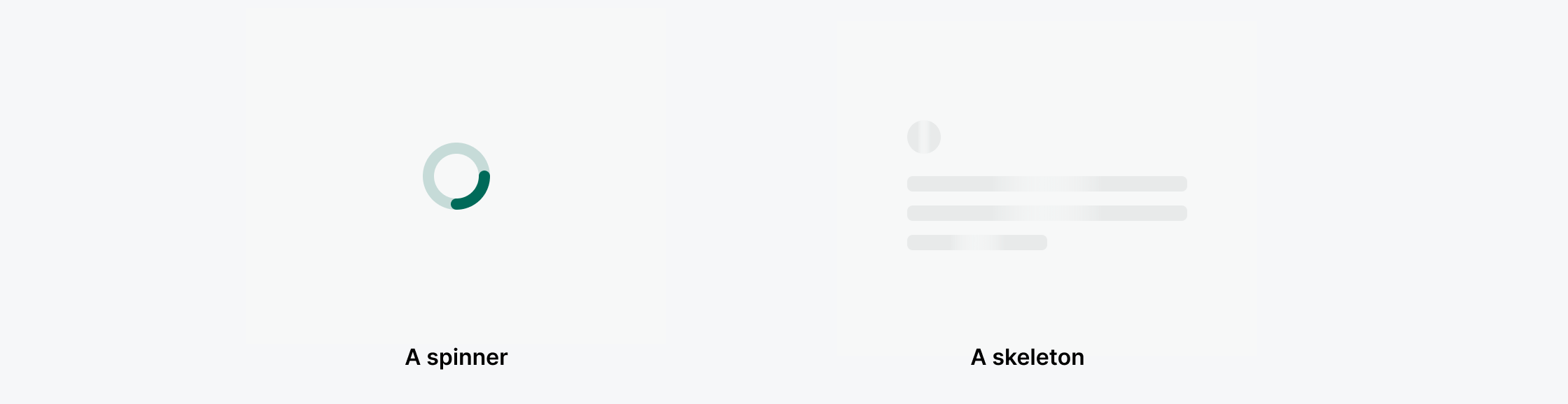 Anatomy-compact