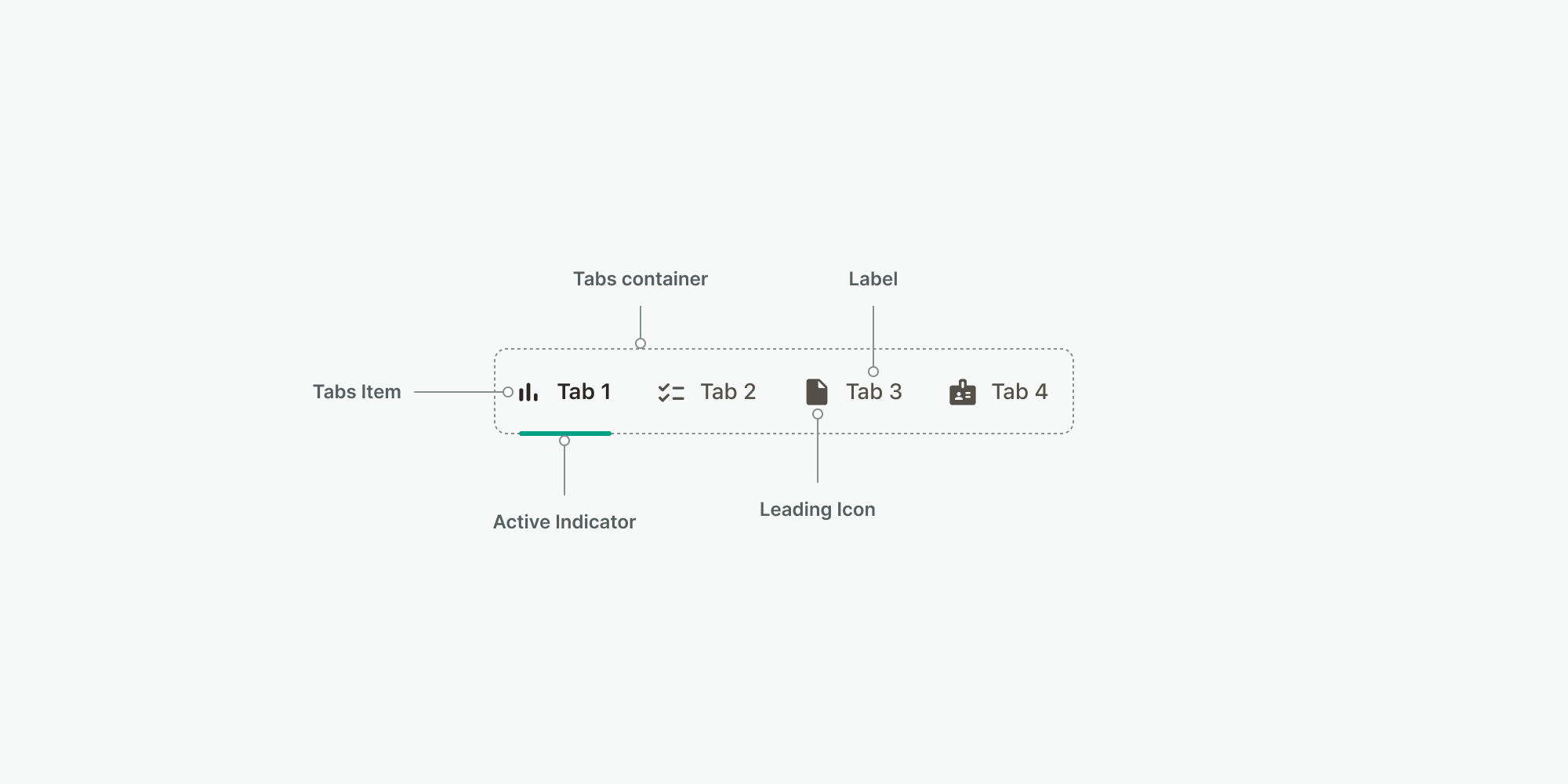 tabs_anatomy