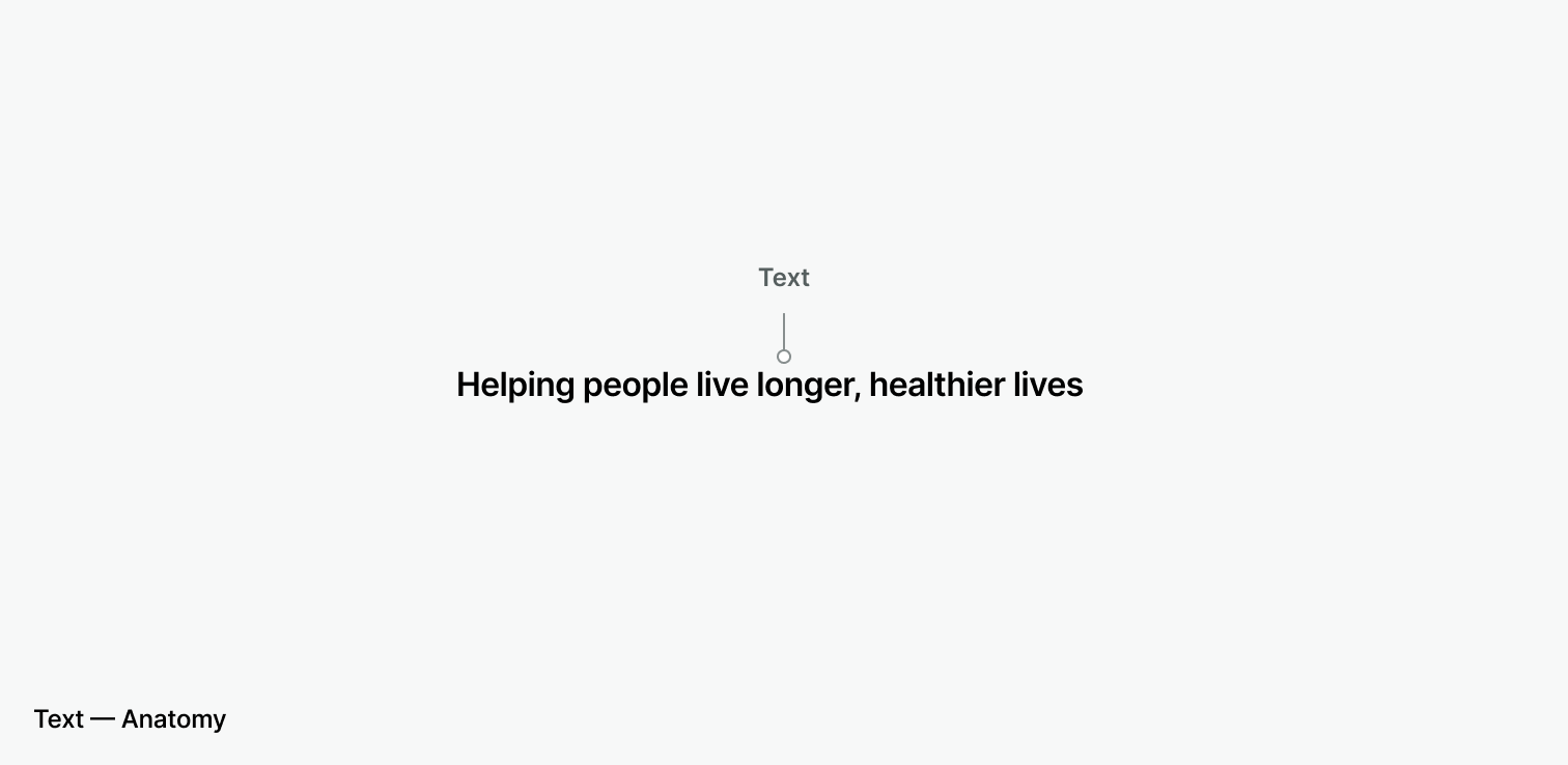 text-anatomy