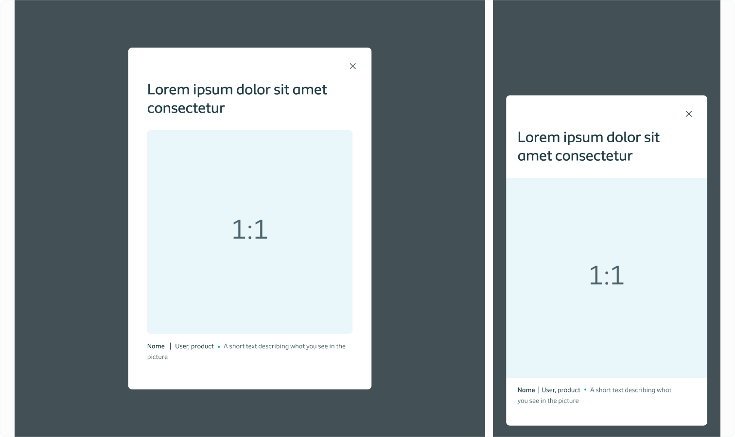 The modal displaying a landscape oriented 1:1 ratio image on both desktop and mobile