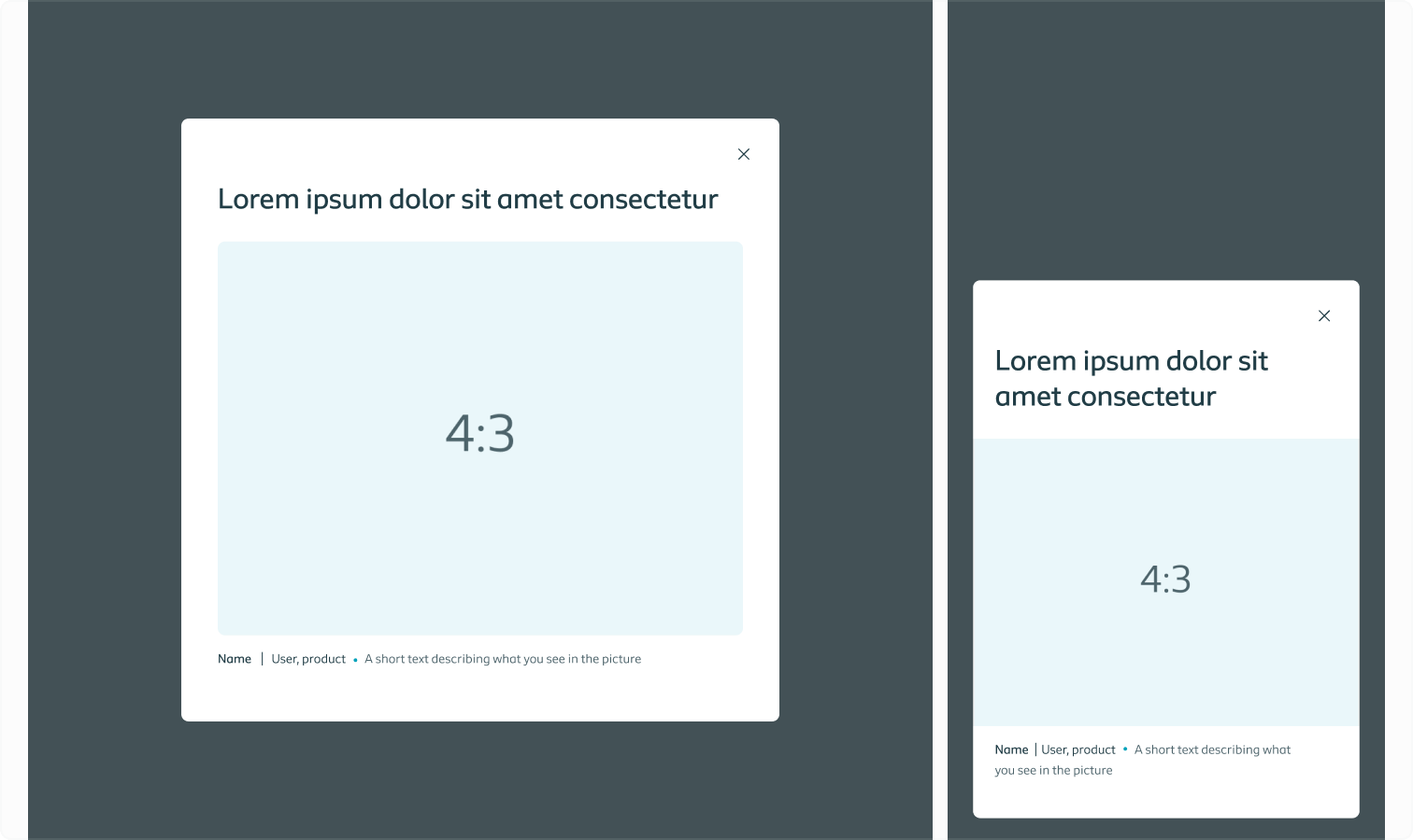 The modal displaying a landscape oriented 4:3 ratio image on both desktop and mobile