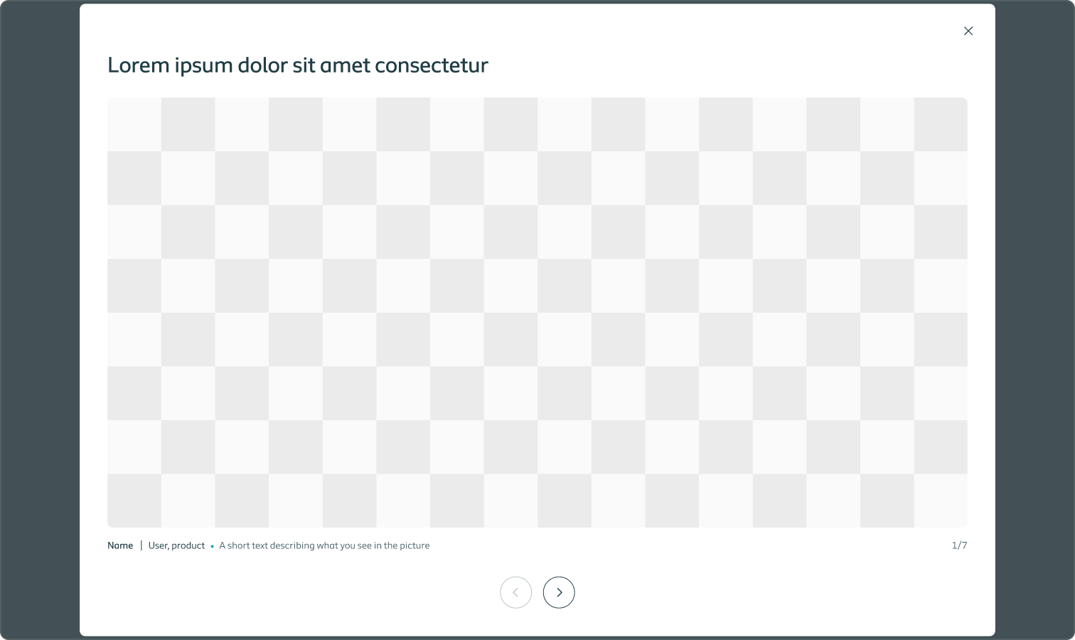 Example of a media modal showing an image gallery