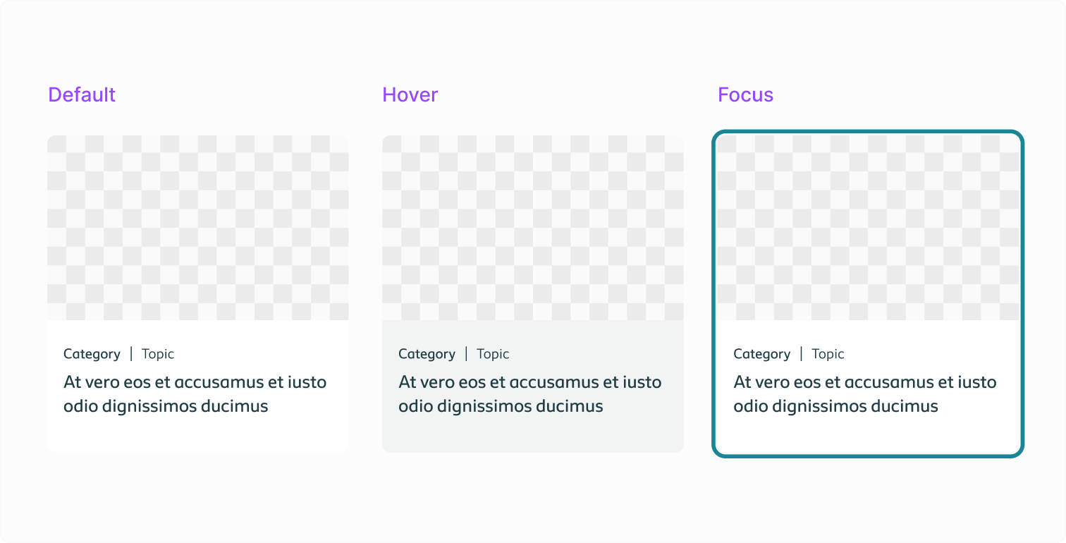 All interactive states (default, hover, and focus) lined up for reference.