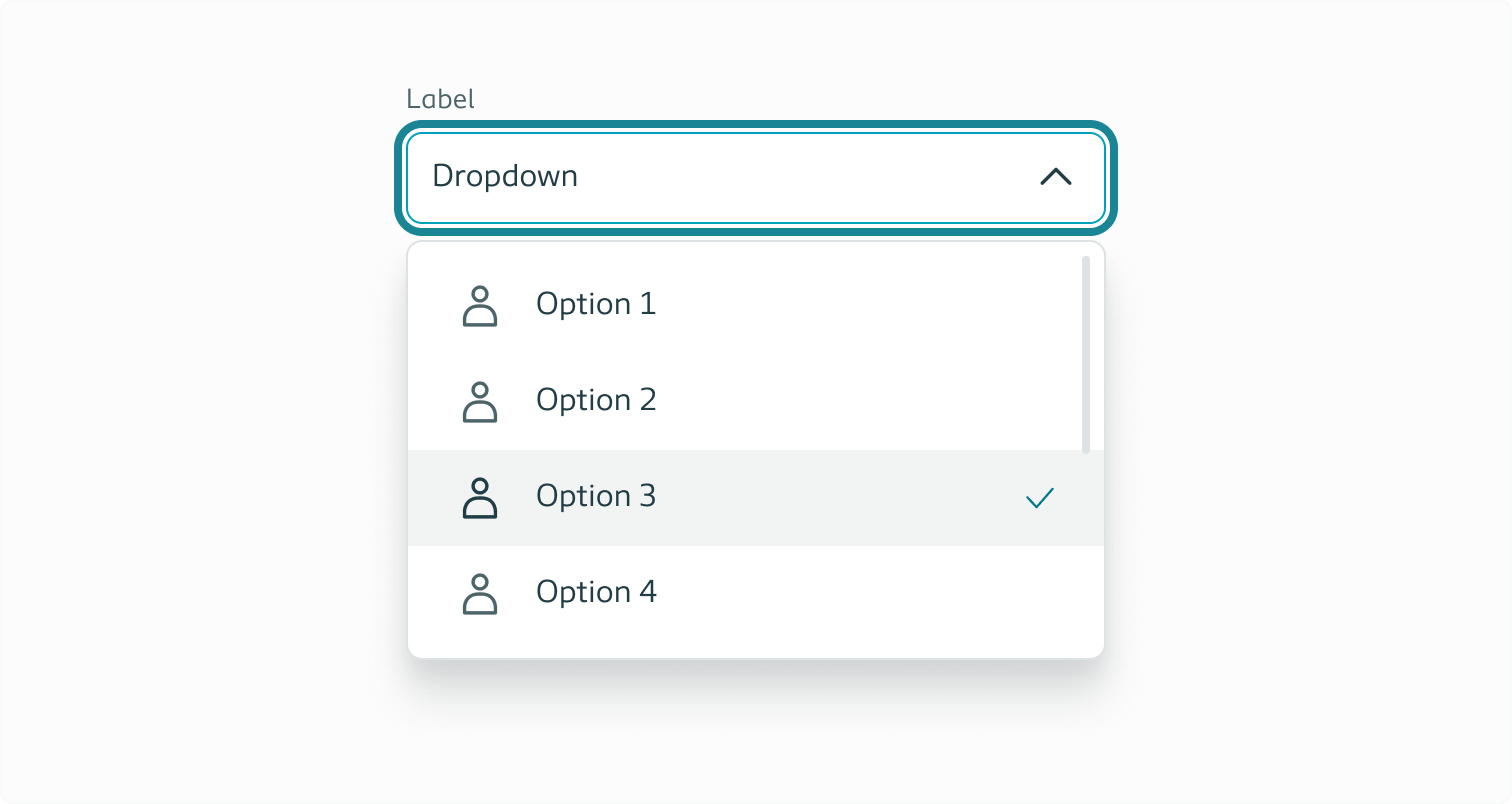 Example of a dropdown list with icons