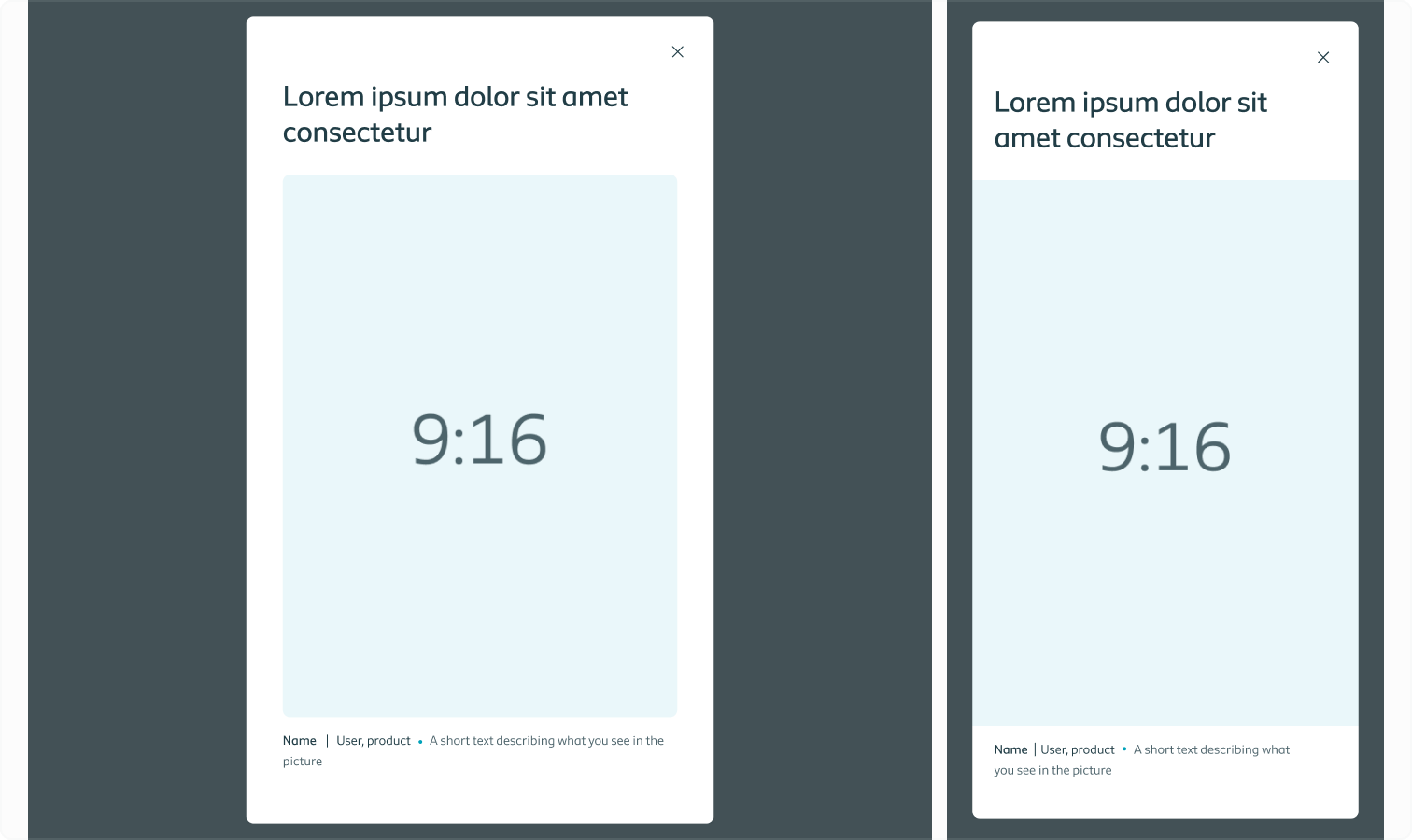 The modal displaying a landscape oriented 9:16 ratio image on both desktop and mobile
