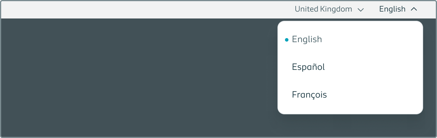 Example of the service navigation with two links, one of which expanded and listing language options.