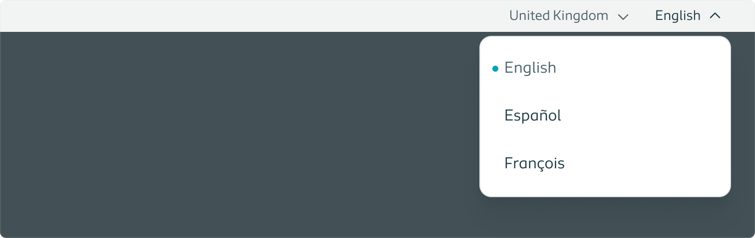 Example of the service navigation with two links, one of which expanded and listing language options.