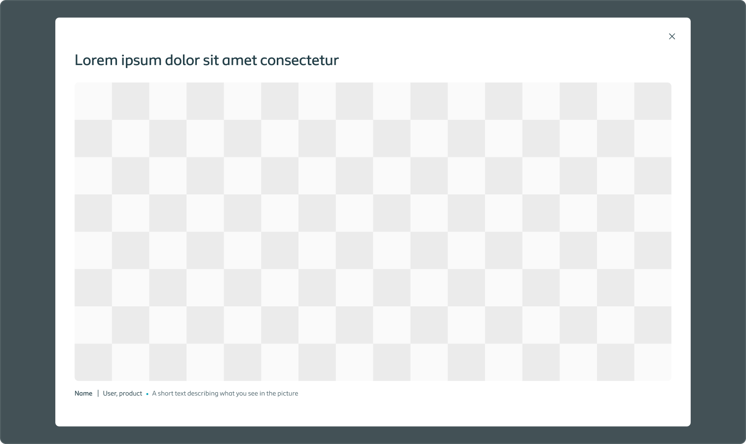 Example of a media modal showing one image
                                                                                                    