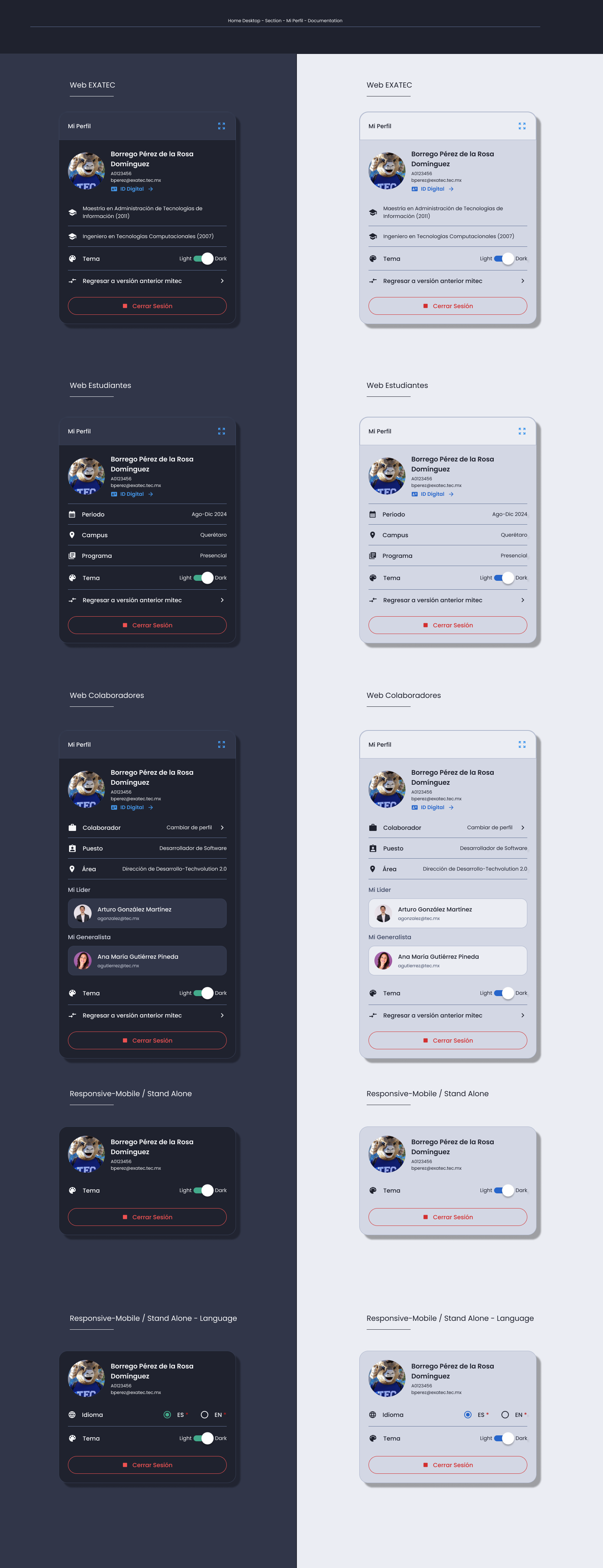 Descripción general | Profile card | Made with Supernova