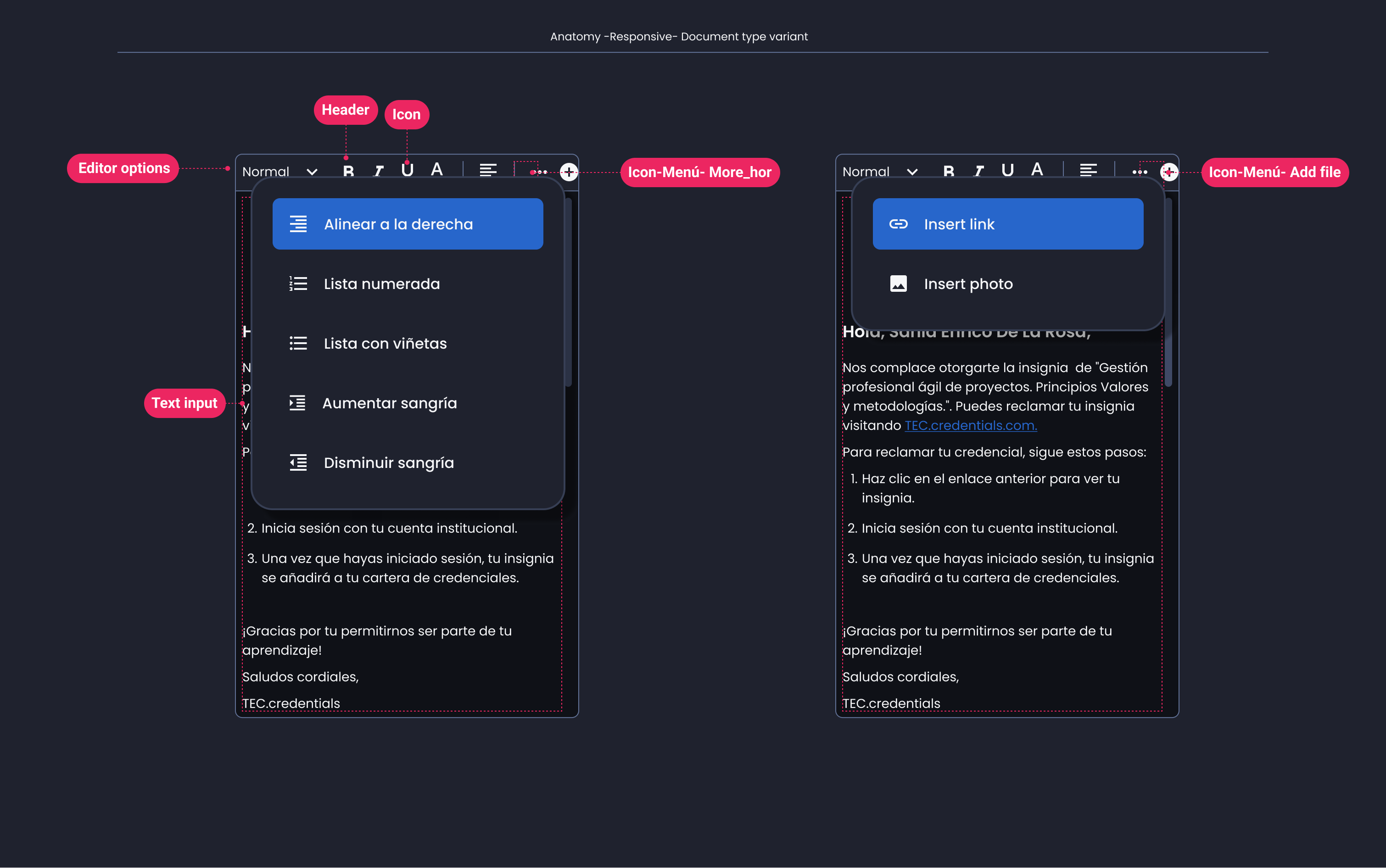 Descripción general | Text editor | Made with Supernova
